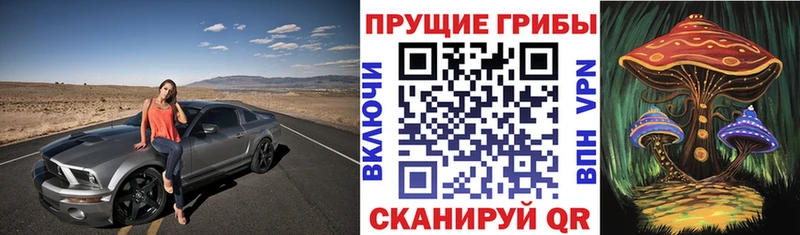 Галлюциногенные грибы мухоморы Почеп