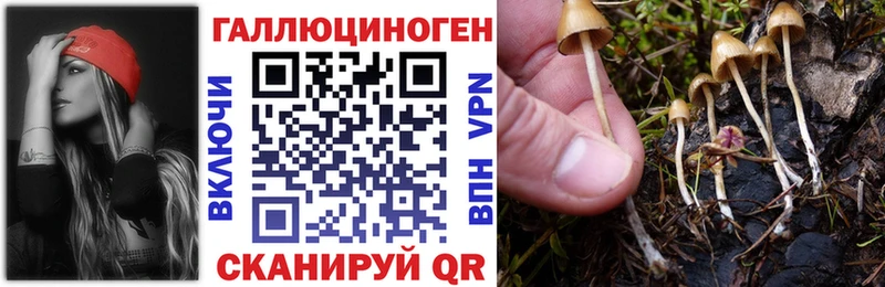 Псилоцибиновые грибы Psilocybe  дарк нет состав  Почеп 